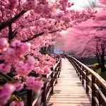 chauffe eco avis chauffage portable électrique sirine leroy